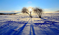 米線加盟，有一種不怕冷的美食，叫做十秒到米線！