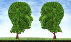 加盟十秒到過橋米線讓我的生活變得如此美好